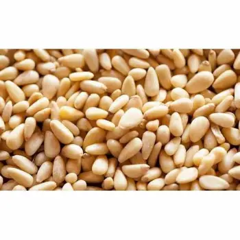 Fresh Pine Nuts